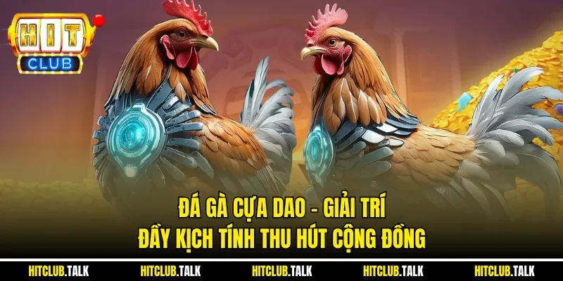 Đá Gà Cựa Dao